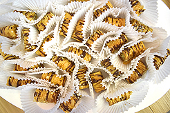 CELEBRATION OF LIFE LIVED FULLY